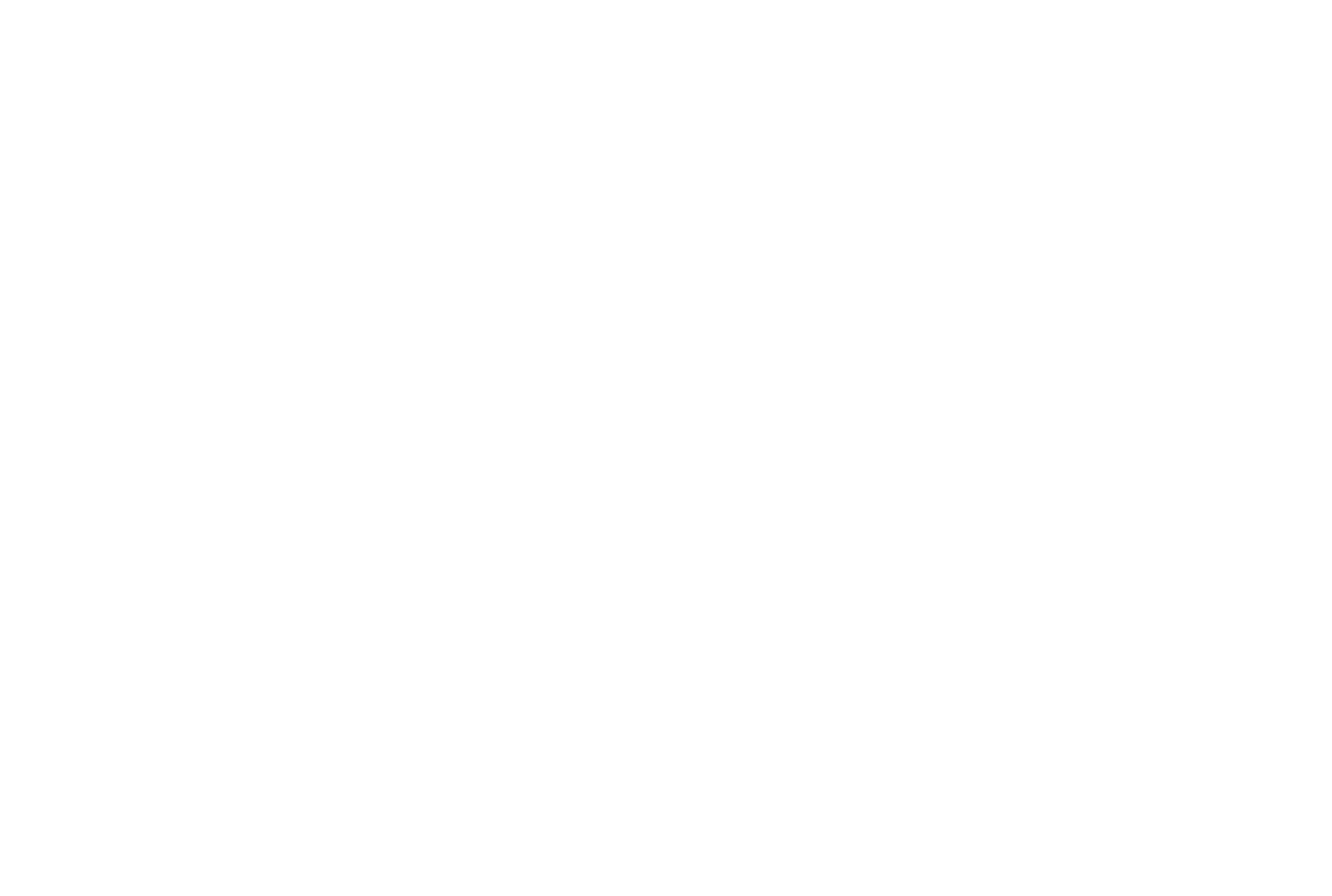 doin it well services - white logo